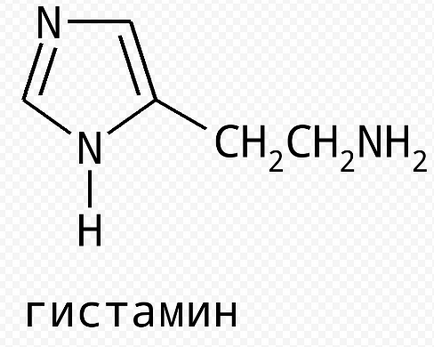 A hisztamin mi ez, és hogyan lehet kijutni a test