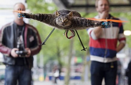 Artistul olandez a făcut un elicopter din cadavrul pisicii lui, făcut din ele
