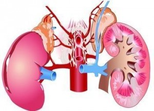 Hormonterápia pneumonia kezelésére gyermekeknél a gyógyszer