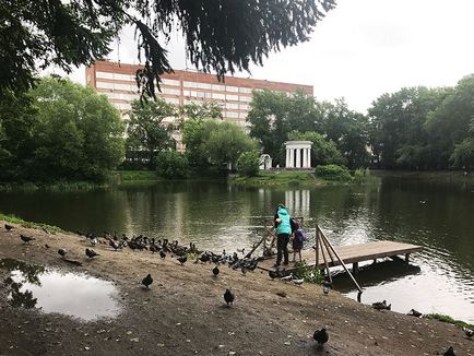 Mers pe jos de-a lungul parcului Yekaterinburg haritonovskiy