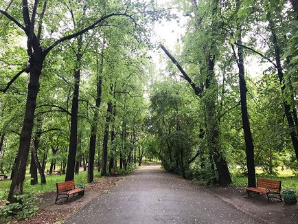 Mers pe jos de-a lungul parcului Yekaterinburg haritonovskiy