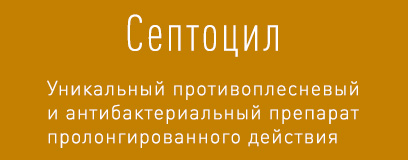 Інформаційний сільськогосподарський портал саратовській області - бізнес на вирощуванні соняшнику