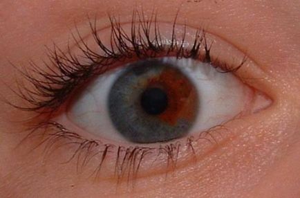 Informații interesante despre culoarea ochilor