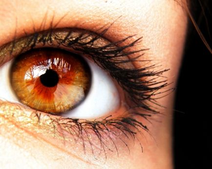 Цікаві факти про колір очей
