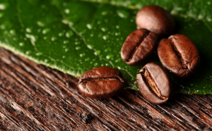 Calitatea de cafea de cereale este unele dintre subtilitățile