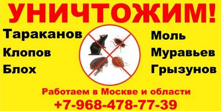 Hogyan kell kezelni a Hruscsov eper () Hogyan kell kezelni a Hruscsov eper