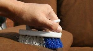 Як і чим почистити диван із замші - чистий метод Єкатеринбург
