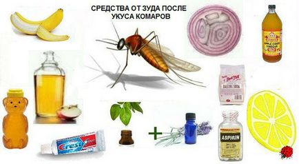 Як і чим зняти свербіж від комарів кращі засоби проти свербіння комарів