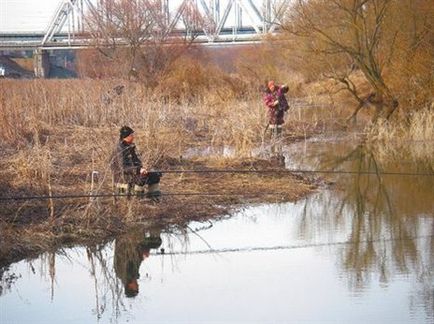 Cum de a prinde un stiuc în timpul unei ape mari, cum să prindă un stiuc în apa de mare