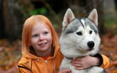 Cum malamute tolerează căldura, deoarece malamutul suferă căldură