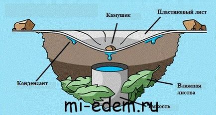 Як можна знайти воду