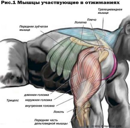 Як накачати пріцепс