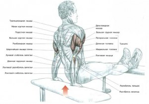 Як накачати трицепс 1