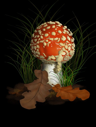 Cum de a desena un agaric zbura