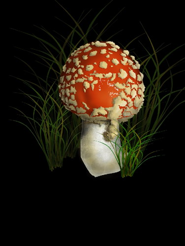 Cum de a desena un agaric zbura