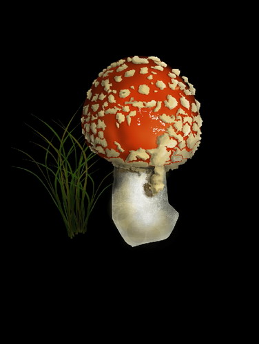 Cum de a desena un agaric zbura