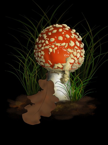 Cum de a desena un agaric zbura