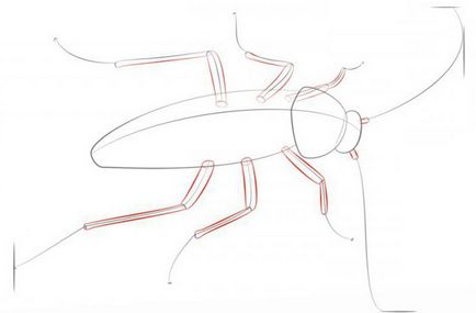 Cum de a desena un gândac simplu și rapid