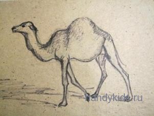 Як намалювати верблюда