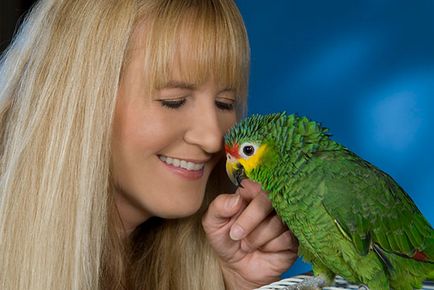 Cum să înveți un papagal pentru a vorbi instrucțiuni pas cu pas
