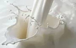 Cum să laptezi o vaca de oțel - portalul științific popular 