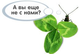 Як правильно підтримувати і просувати свій сайт