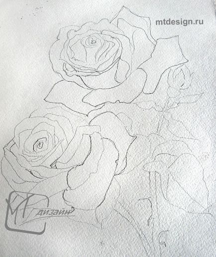 Як зробити начерк троянди олівцем, mtdesign