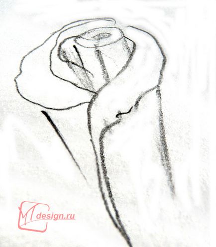 Cum de a desena o schiță de trandafir în creion, mtdesign