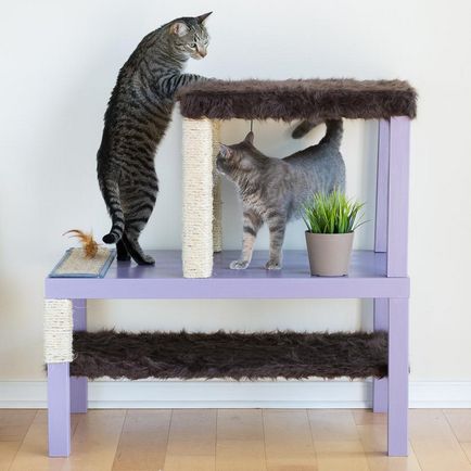Hogyan készítsünk egy szórakoztató komplexum egy padon macskáknak