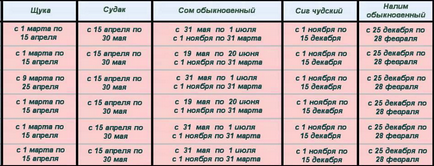 Як врятувати осетрів від браконьєрів