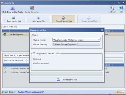 Як за допомогою програми deepsound заховати особисті файли всередині аудіо, білі віконця