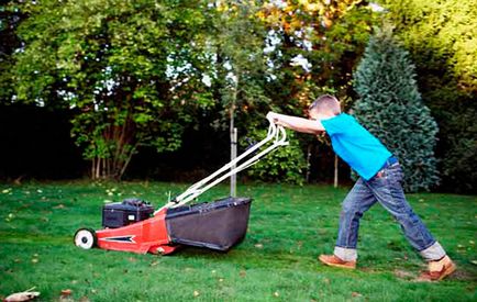 Як стригти газон своїми руками поради дачникам