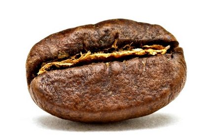 Як влаштовано кавове зерно