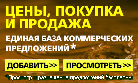 Hogyan lehet növelni a súlya szarvasmarha (teherautó party 8-950-642-19-49) Hogyan lehet növelni a súlya szarvasmarha