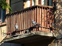 Care este sarcina maximă pe care trebuie să reziste balconul?