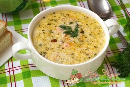 Hogyan készítsünk levest köles receptek tej, csirke, hal (mint a leves főzés receptek köles) Főzni leves köles tej receptek, csirke, hal