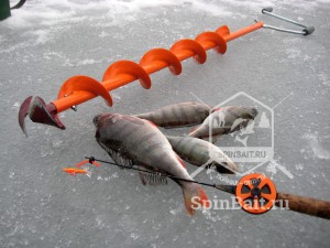 Як вибрати ледобур для зимової риболовлі