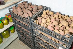 Cum de a stoca cartofii într-un apartament pe balcon în depozitul de iarnă