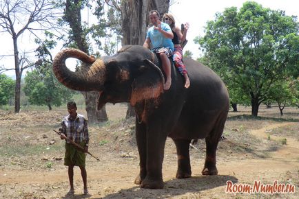 Cum am condus primul elefant în India