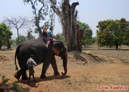 Először lovagolni egy elefánt Indiában