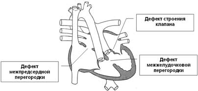 Canalul atrioventricular