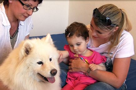 Canistherapia ca un câine tratează o persoană