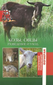Карабах вівці м'ясо-вовняного-молочні породи
