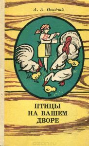 Карабах вівці м'ясо-вовняного-молочні породи