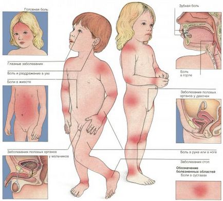 Carduri de diagnoză primare