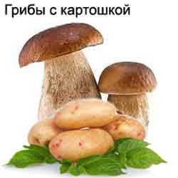 Картопля з грибами