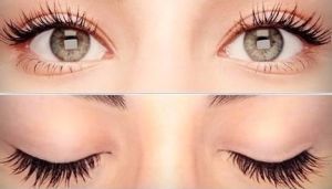 Keratin emelő - hatékony módszer, hogy meghosszabbítsák a szempillák, és növeli a mennyiség (keratin emelés szempillák fotó) Keratin emelő - hatékony módszer, hogy meghosszabbítsák a szempillák és növelniük