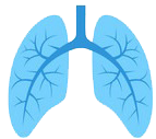 Clasificarea speciilor de astm bronșic, forma, greutate