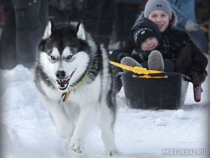 Clima în Karelia după lună