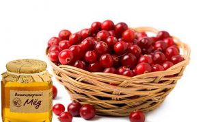 Cranberry la o presiune creste sau scade, proprietati utile, reteta